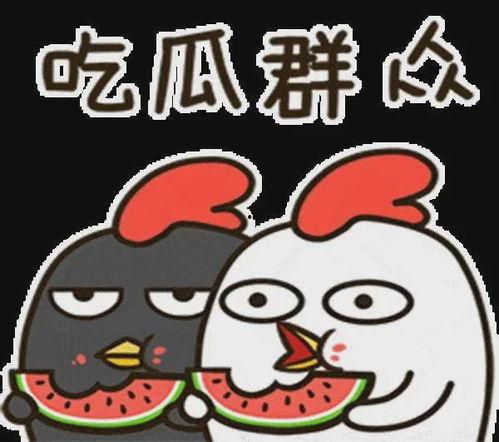 娱乐吃瓜小象小说